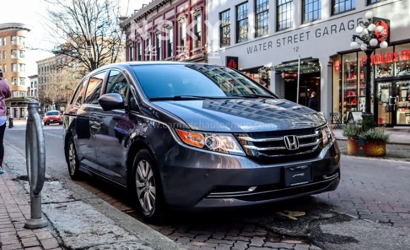 260221095441_图像 109.jpg